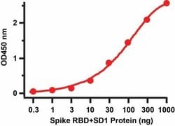 Novus Biologicals Recombinant SARS-CoV-2 Spike (RBD+SD1) His (C-Term) Protein 0.05 mg | Buy Online | Novus Biologicals&trade; | Fisher Scientific